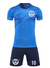 YOUTH SOCCER TRAINING Hills District Sydney